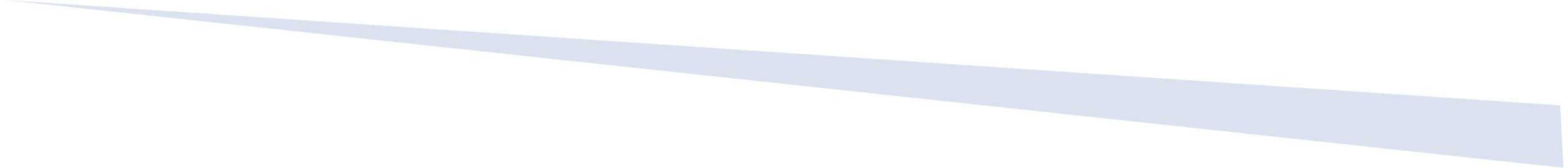 swoosh divider image